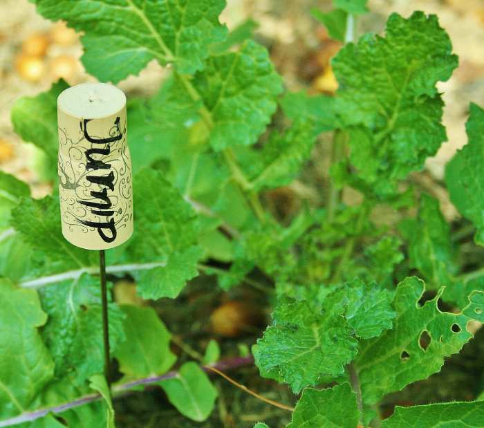 Insert a chopstick or a piece of wire coat hanger into the cork to make a plant marker.