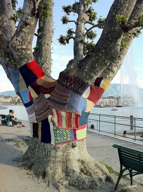 Yarn bomb tree.