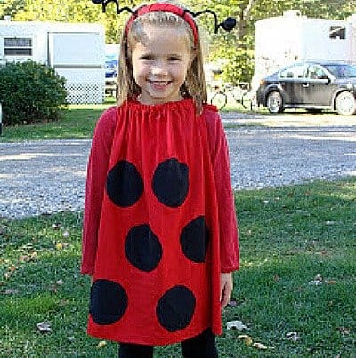 lady-bug-crafts-idées