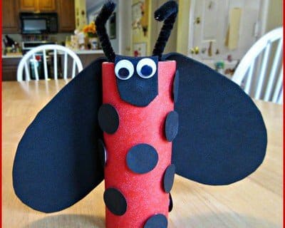 lady-bug-crafts-idées