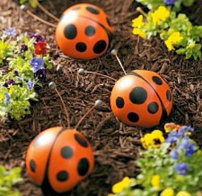 lady-bug-crafts-idées