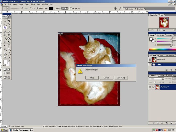 Rupert was curled into a cute shape here with his tummy showing so it looked like an interesting choice for the mobile. I cropped tightly around the area I wanted to cut out. There's no point in printing anything you're going to throw away.