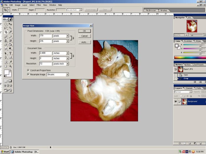 Resize the photos so the part you plan to cut out will be about three inches tall once you've printed them out.
