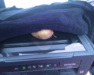 Cover the fruit with black cloth and ensure this is light opaque by putting more clothes on top as necessary to block light.