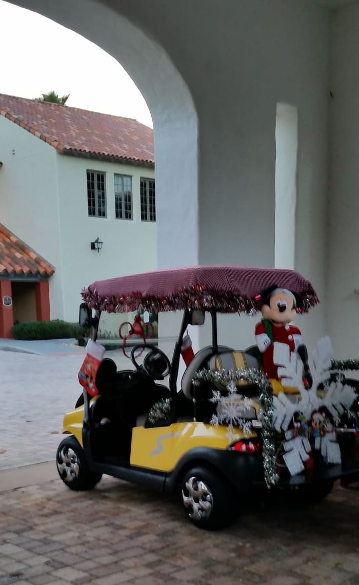 I asked the owner of this cart about how they powered the lights. She showed me the small generator/battery pack they had placed under the back seat. It's hidden by the giant snowflake. Some have a power point added linking to the cart's batteries.