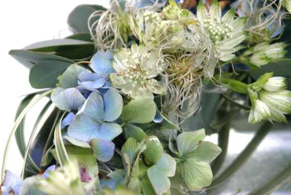 Blue Hydrangea and White Astrantia Brides Bouquet: Soft as the first day of summer, this is mainly made of two contrasting flower choices with graceful Bear's grass. Perfect for semi-formal or outdoor weddings.