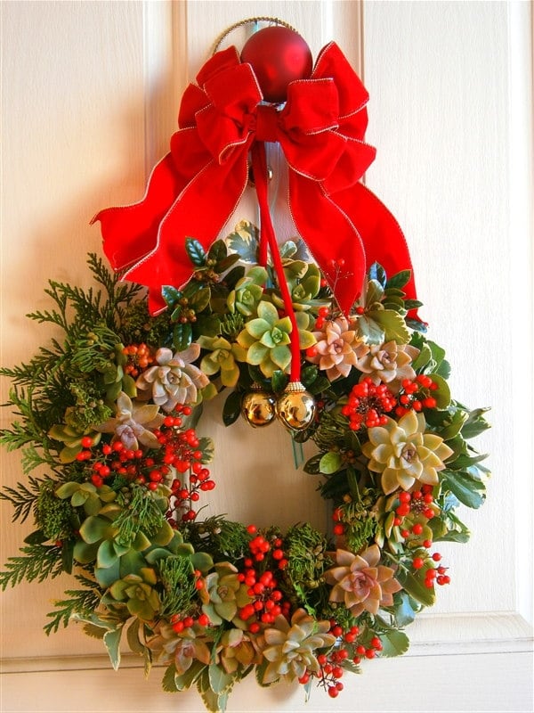 Christmas wreath made up of succulents and red berries--all free. I only paid $3.50 for the circular floral foam.