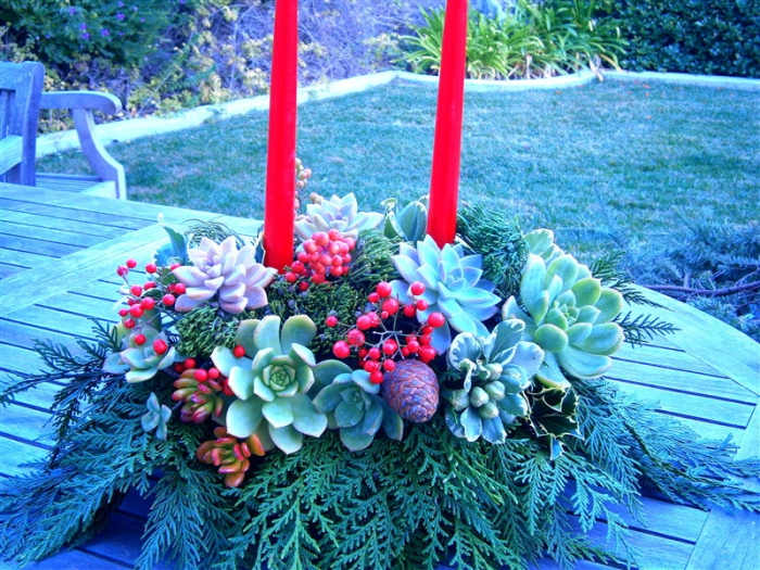 Apart from the western red cedar which I bought for $3.50 a bunch, two candles at 79 cents each, a 79 -cent container, this centerpiece came up to $5.87.