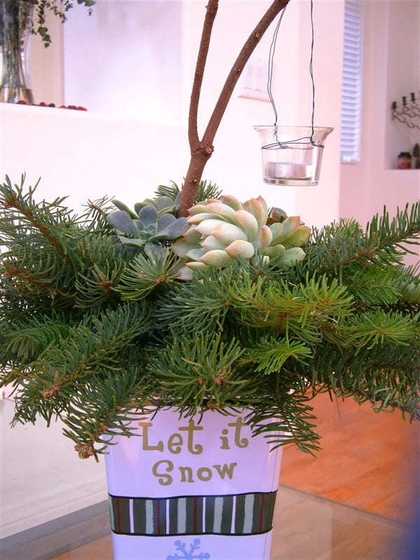 Free noble fir and succulents, container--$2.99, votive--$0.99 cents, floral foam --$1 and one little tealight (less than 20 cents). Total: $5.18