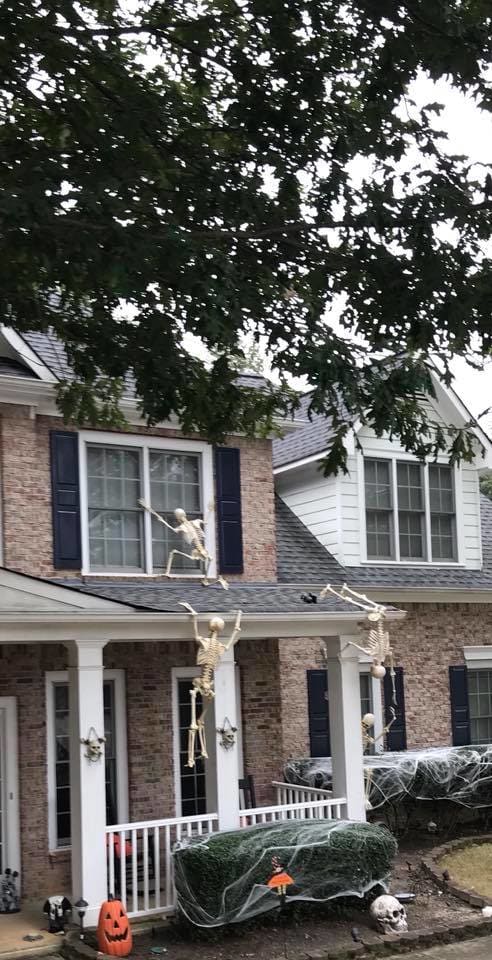 The house is being attacked by skeleton figures, which is very creative. All the bushes are shrouded in spider webs.