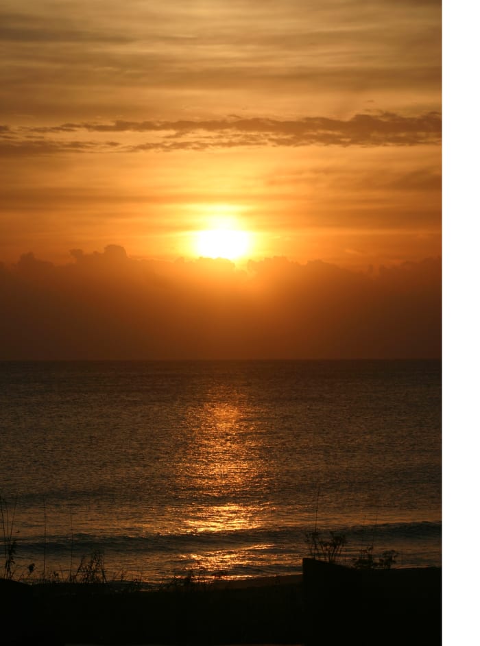 Every day starts with a new sunrise. Forget past failures and make a fresh start on your life