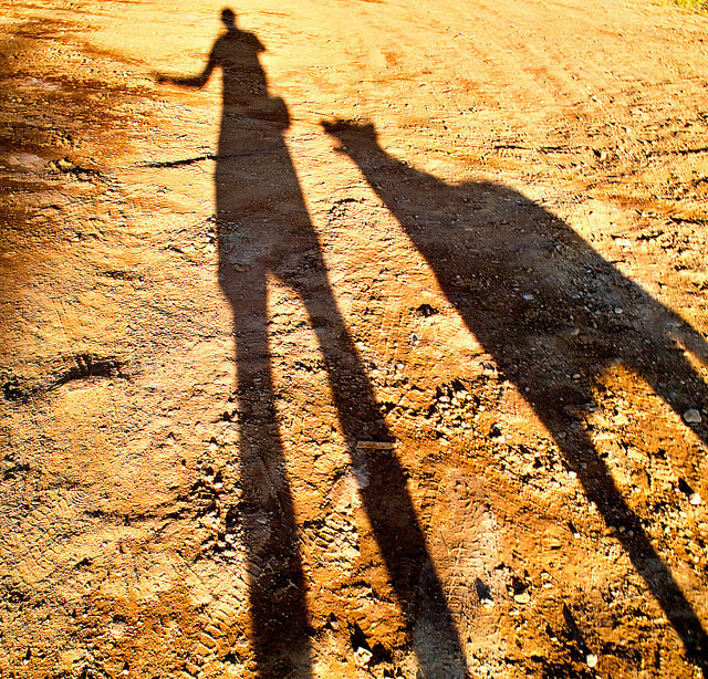 This photo, with its sand color and cave-painting like quality, evokes the ancient wisdom of shadows and reversals.
