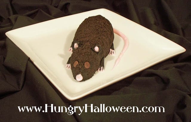 Halloween chocolate and cream cheese long-tail rat from the Hungry Happenings blog