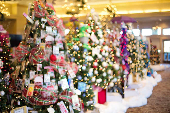Some charities hold sponsored Christmas Tree showcases where, for a donation, visitors can vote for their favorite tree. You'll get to experience the magic of Christmas trees and give back to your local community at the same time!