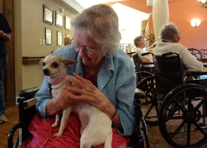 Here, Louise connects with a visiting dog that accompanied the home-schooled children when they sang to residents.