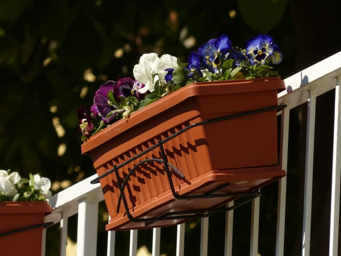 A planter full of edible pansies is a practical and beautiful gift for anyone who loves to cook and throw stylish dinner parties.