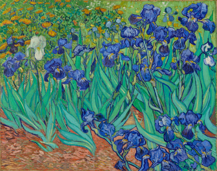 Vincent van Gogh (Dutch, 1853 - 1890) Irises, 1889, Oil on canvas - The J. Paul Getty Museum, Los Angeles