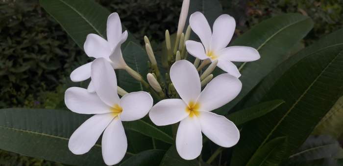 “You are here for a short visit. Don’t hurry, don’t worry, and be sure to smell the flowers, along the way.” —Author Unknown