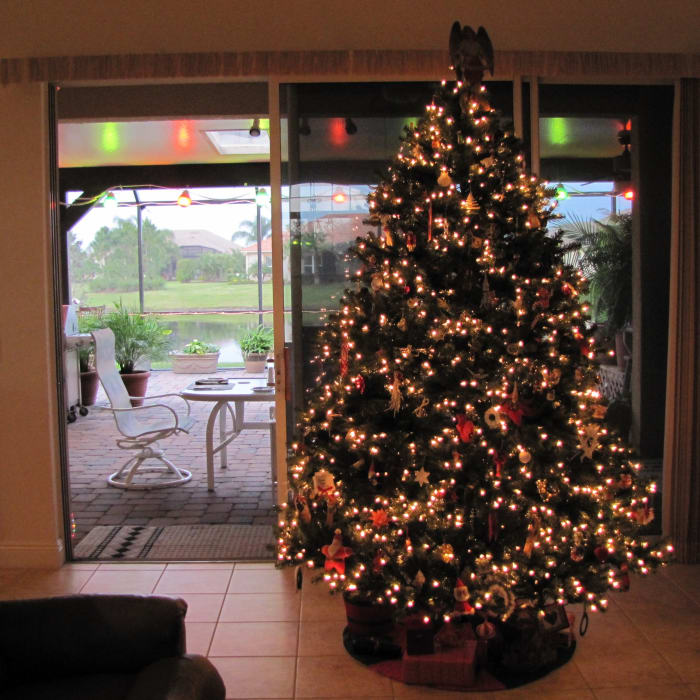 I loved my pre-lit Christmas tree. It was very full and handsome (until the lights wouldn't work anymore)