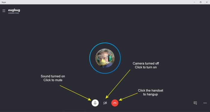 The Skype call screen appears once you dial a contact. You can turn on your camera during an audio call.