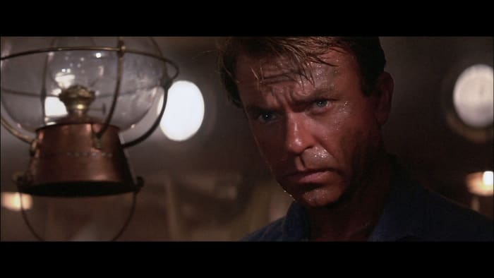 Neill struck me as an odd choice for an action hero lead but the film isn't as much of an action film as it is a character-driven thriller - which is much more satisfying.