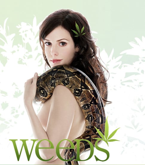 Weeds is a dark comedy-drama series about a widow who starts selling pot in order to support her family.