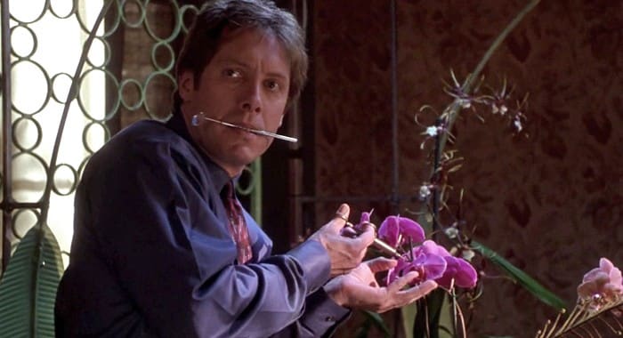 Spader is perfectly cast as the creepy, unusual E. Edward Grey, a role I can't imagine anyone else in.