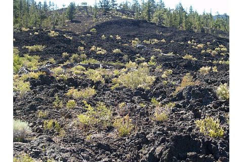 A snapshot of the Central Oregon lava flows (it hardly shows the magnitude of the flow)