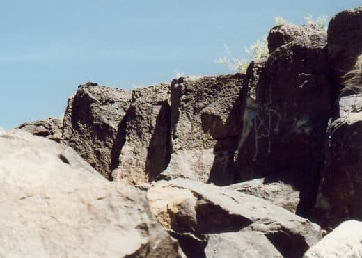 Look in the dark sections to the right to see the petroglyphs at the Petroglyph National Monument in Albuquerque, New Mexico.