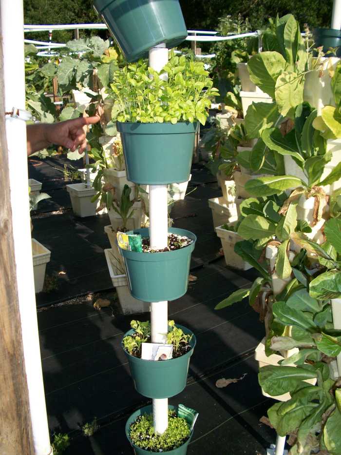 visit-kevin-newells-hydroponic-organic-vegetable-farm