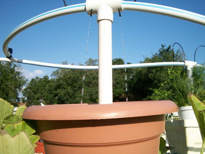 visit-kevin-newells-hydroponic-organic-vegetable-farm