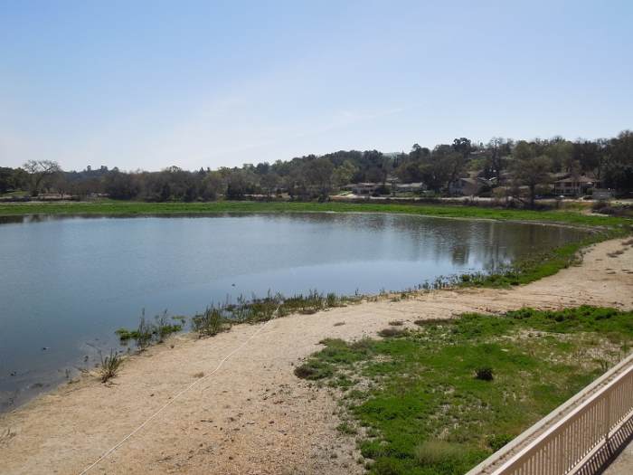 This photo was taken on March 8, 2015 after some water has returned to the lake. All the grassy areas used to be underwater, so you can see the lake is still suffering, but at least birds are returning.