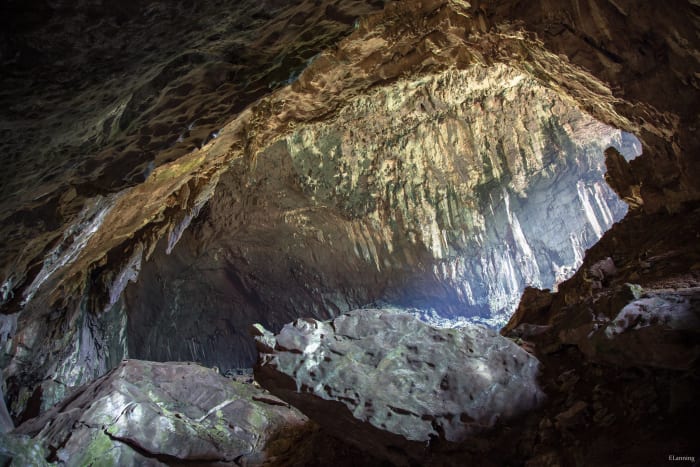 Like the Mammoth system, the Mulu Cave system is still being actively explored and charted by researchers.