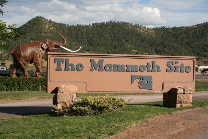 The Mammoth Site is a must-see destination for anyone interested in paleontology and prehistoric times.