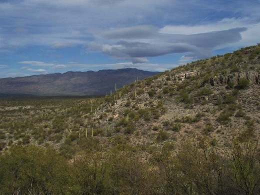 Something about the landscape of the Southwest seems to inspire adventurous place naming. Arizona has everything from Carefree to Six Shooter Canyon.