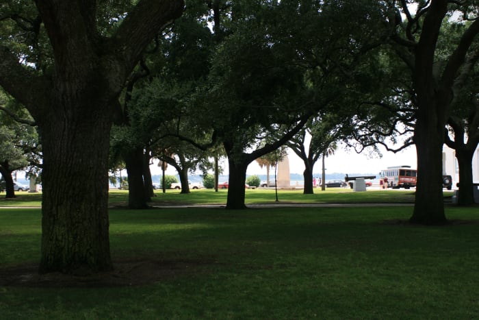 The beautiful old oak trees in the Battery Park/White Point Gardens make this a prime spot for an afternoon stroll.