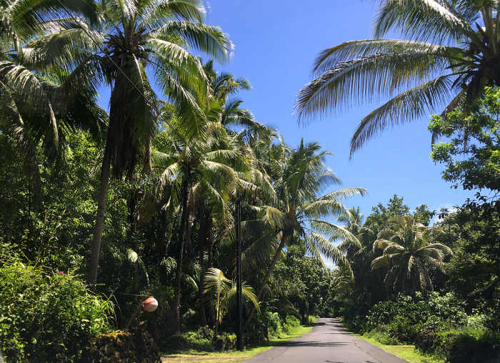 Hawaii Road Trip The Enchanted Red Road in Puna on the Big Island