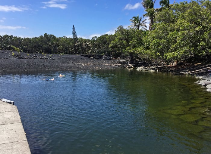 Swimming lagoon AFTER the eruption. Cut off from the ocean, the water becomes stagnant and turns green!
