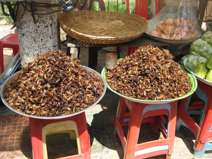 In the mood for a snack? How about some fried crickets?! They can be found just at about any market in Southeast Asia