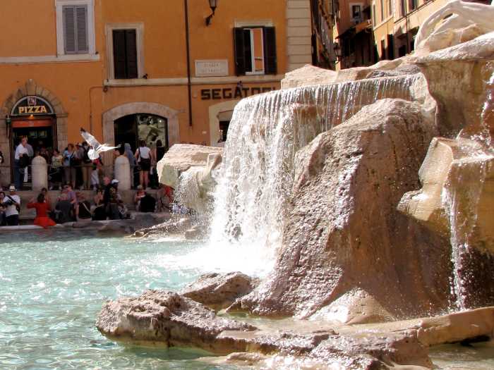 Even the seagulls enjoy the fountain