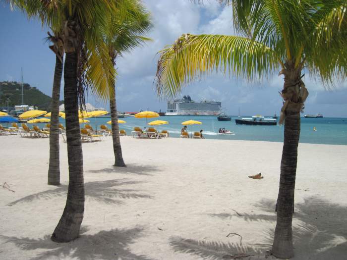 The beautiful Norwegian Epic framed by palm trees on the beach in St. Maarten in the Caribbean.