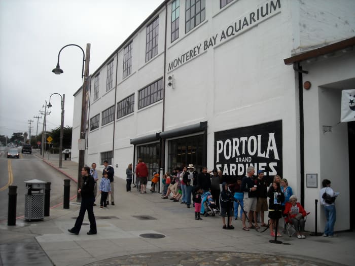 Lines outside the aquarium start forming before opening time, especially on summer weekends.