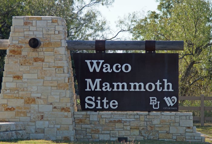 This site was recently discovered and it features a dig of Columbian Mammoth bones and a camel. More on this below.