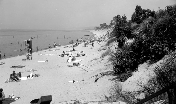 The beach itself was much different in its earlier years. It was narrower with a steeper bluff. Much of the bushy vegetation is gone leaving mostly the beautiful wind blown beach grasses.