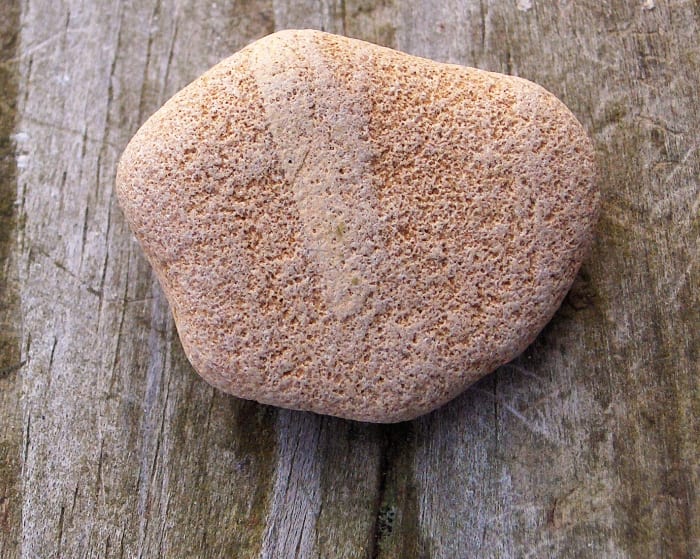 Have no idea what this is either. It wraps around both sides of the sedimentary stone. Let us know if you have an idea what it could be.