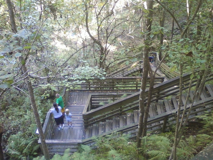 The city has numerous attractive state parks for public use. The Devil's Millhopper is a giant ancient sinkhole that can be descended via a boardwalk.