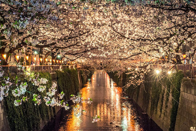 I'm not good enough with my camera to capture this light effect, so I present the wonderful view available in Japan Talk.