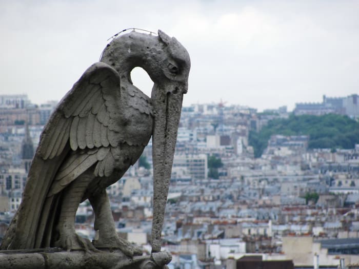 Although the heron gargoyle did a good job at scaring away evil spirits, he needed the wire on his neck to keep him pigeon-proof. Let's hope he made it through the fire.
