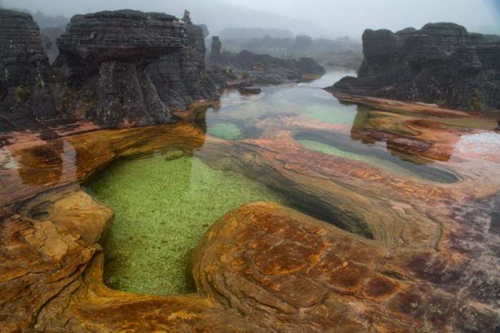 The hot springs of Mount Roraima.
