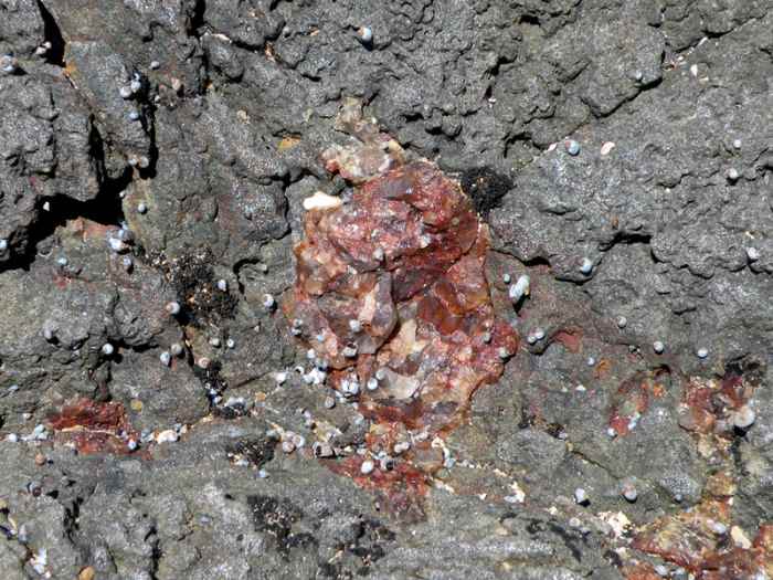 A mysterious find. I have no idea what this red crystal is and it doesn't look like anything mentioned in the historical lapidary texts.